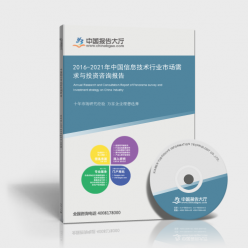 2016-2021年中國(guó)信息技術(shù)行業(yè)市場(chǎng)需求與投資咨詢報(bào)告 聚焦信息技術(shù)咨詢服務(wù)